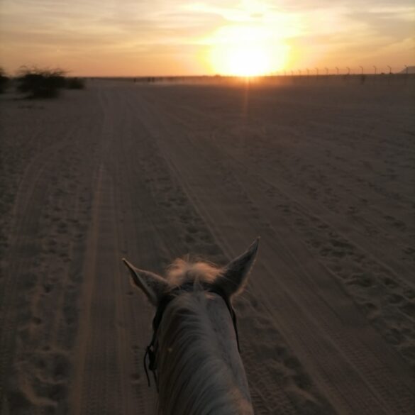 sunset horse riding