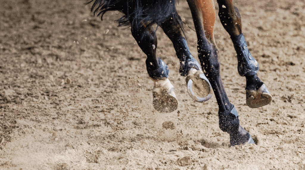 Horse's hoofs on sand