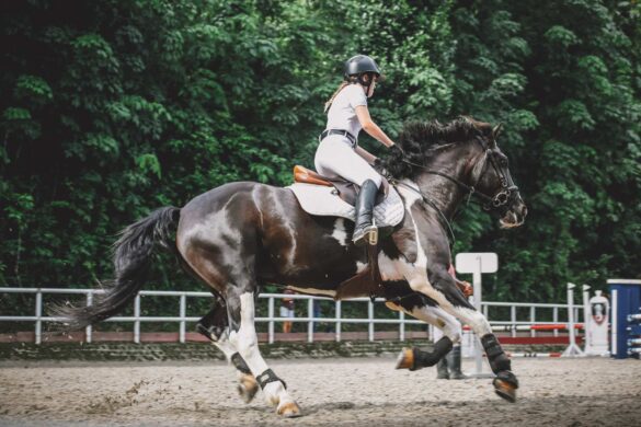 Lady riding in the arena