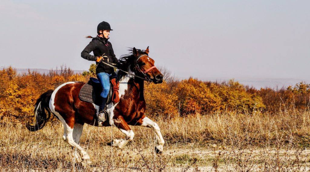 Solo ride a field