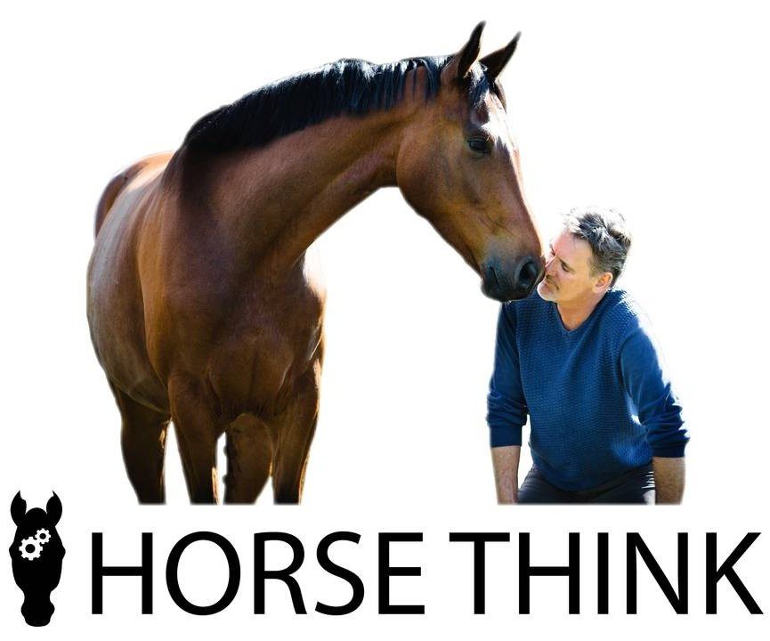 Mind your horse - equestrian training & courses