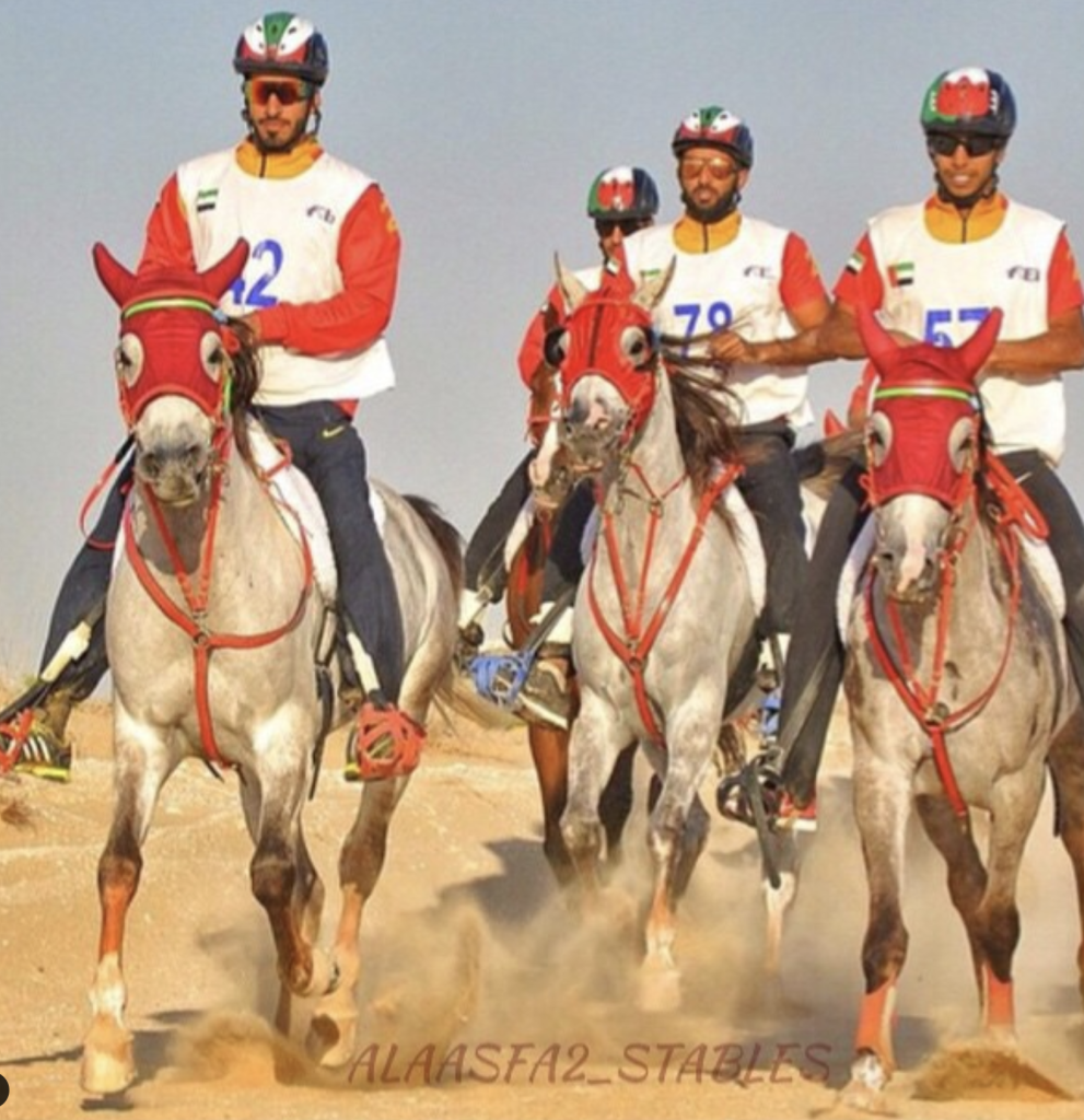 ALAASFA2 Endurance Stables-dubai-al-qudra