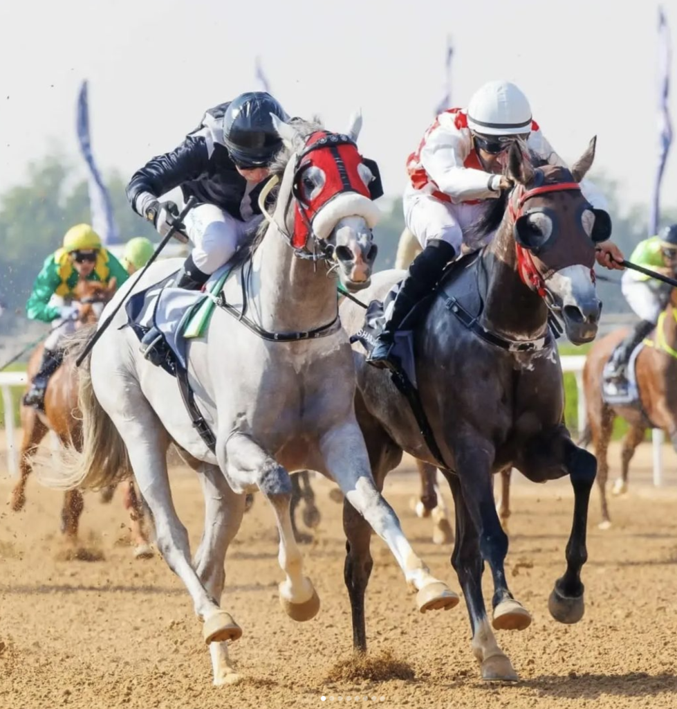 Al Aweer Farm-dubai