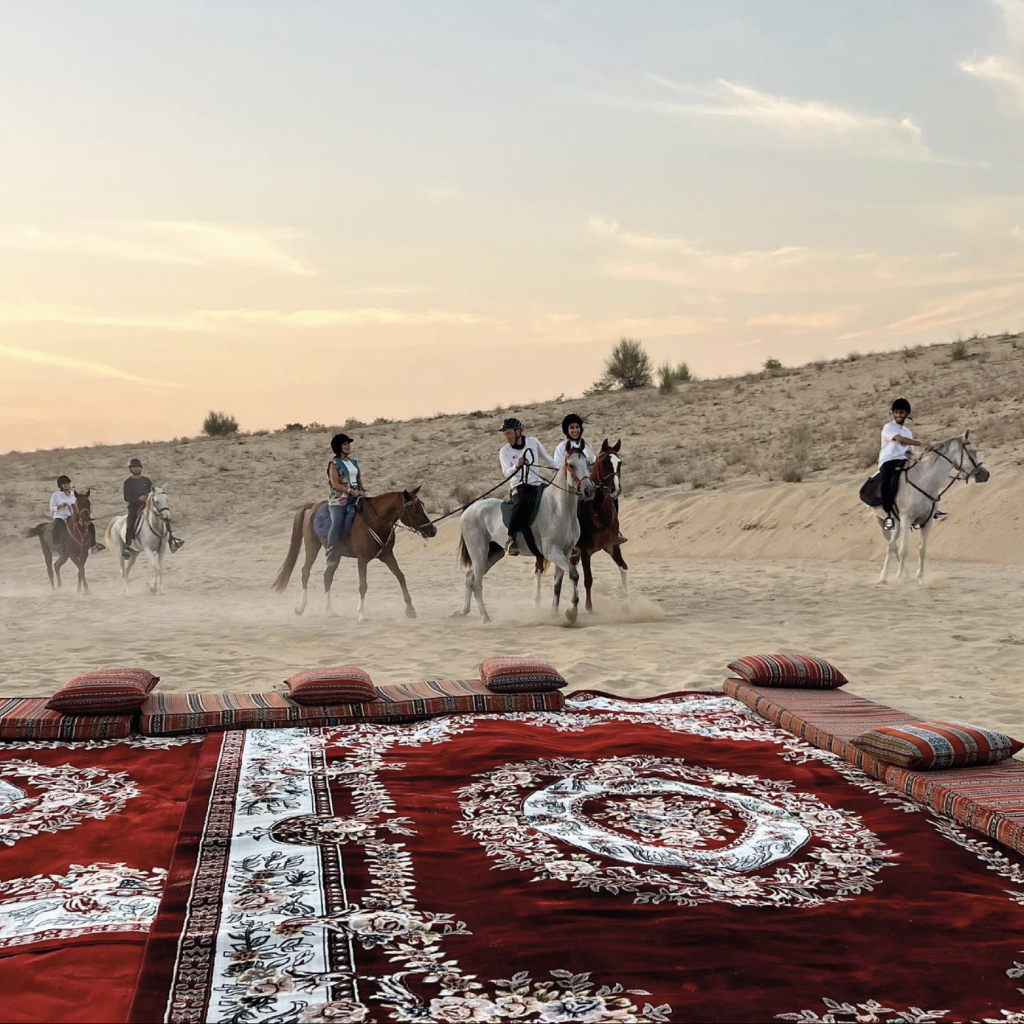 Al Jiyad Stable-dubai