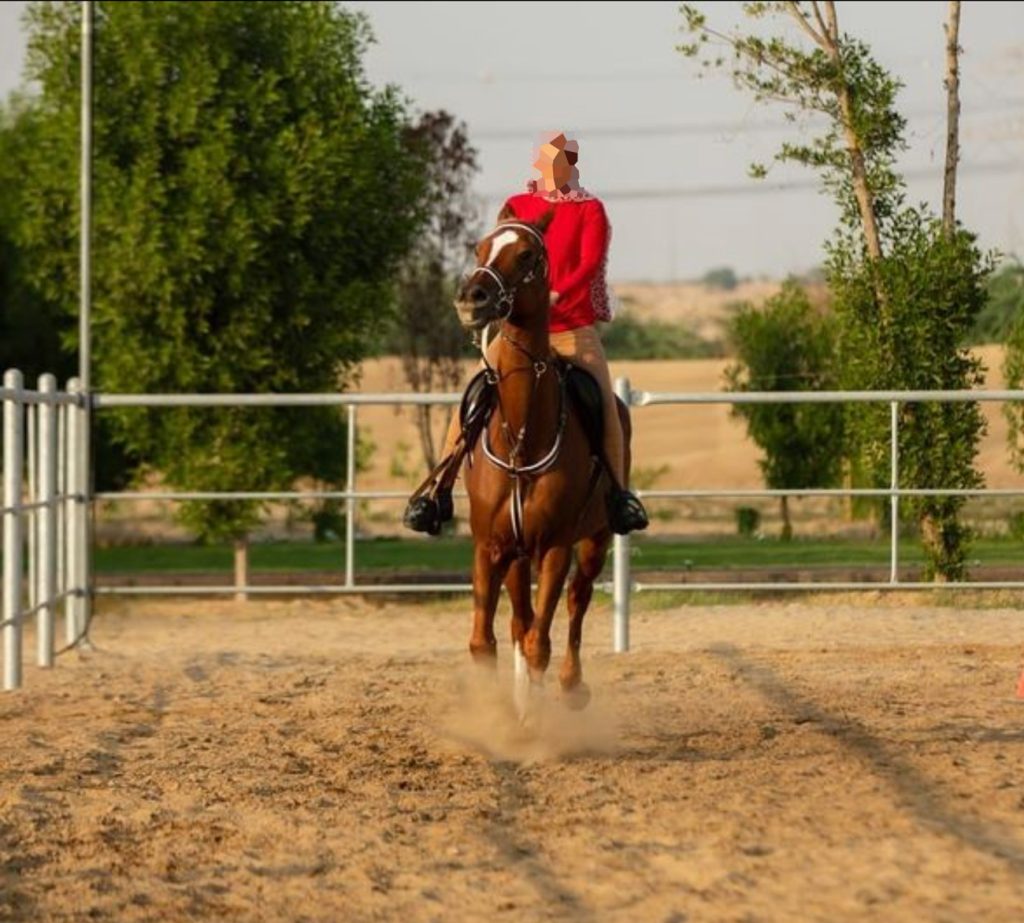 Lady riding at Dream Stable in Dubai