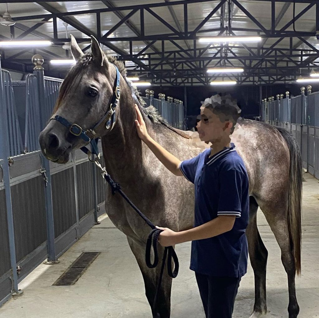 Equiland-stable-dubai