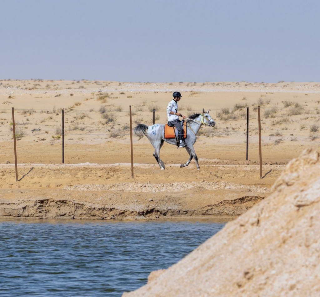 Matar-endurance-stables-dubai-al-qudra