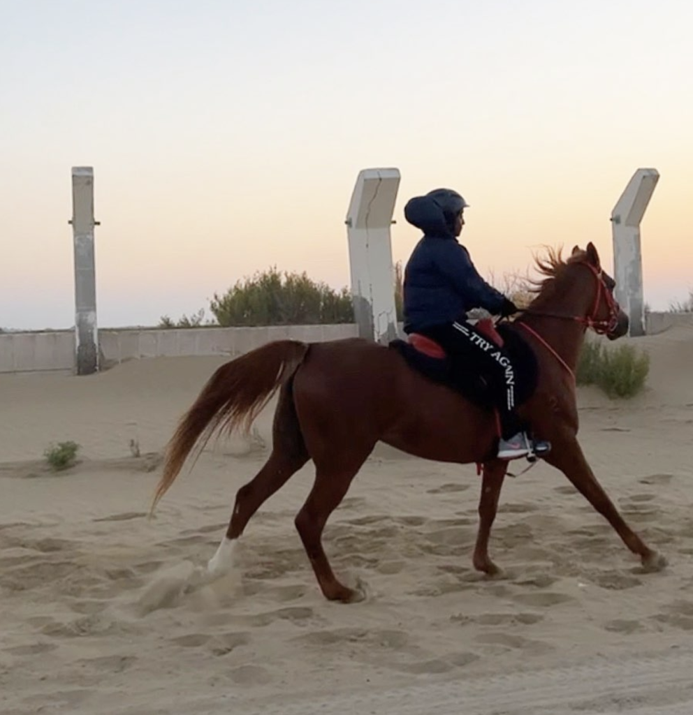 R777 Equestrian Center-Dubai