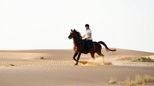 horse riding in the desert