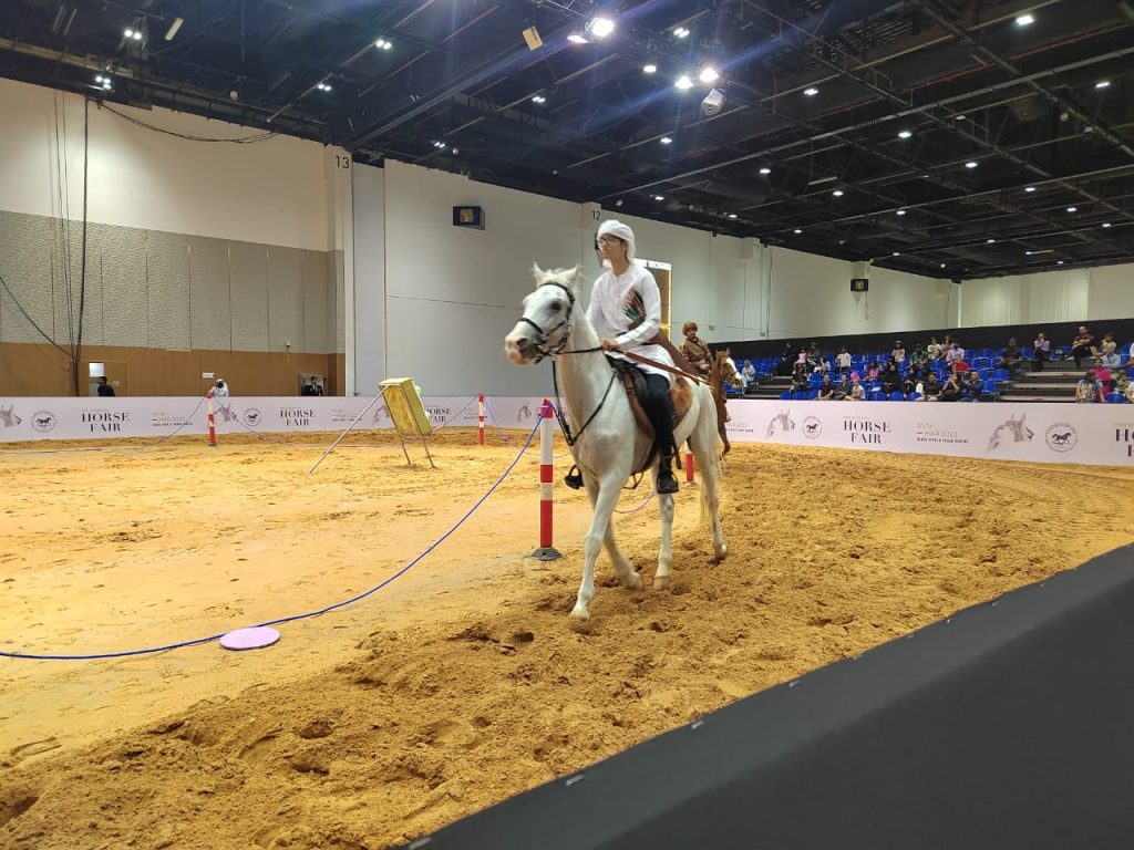 Dubai Horse Fair 2023