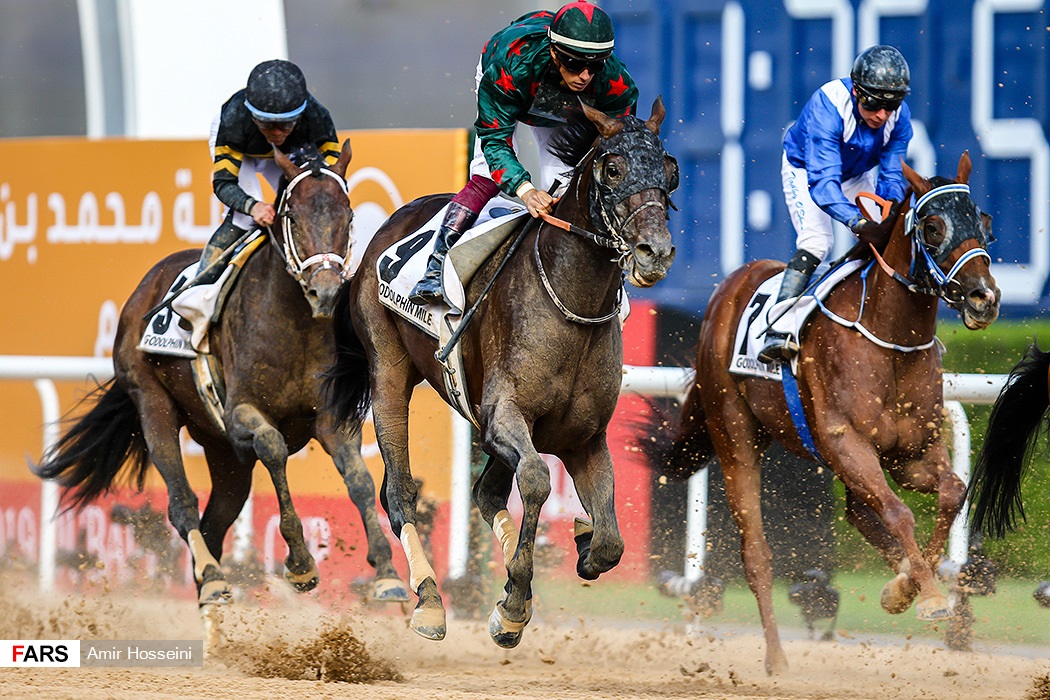 Dubai_World_Cup 2019