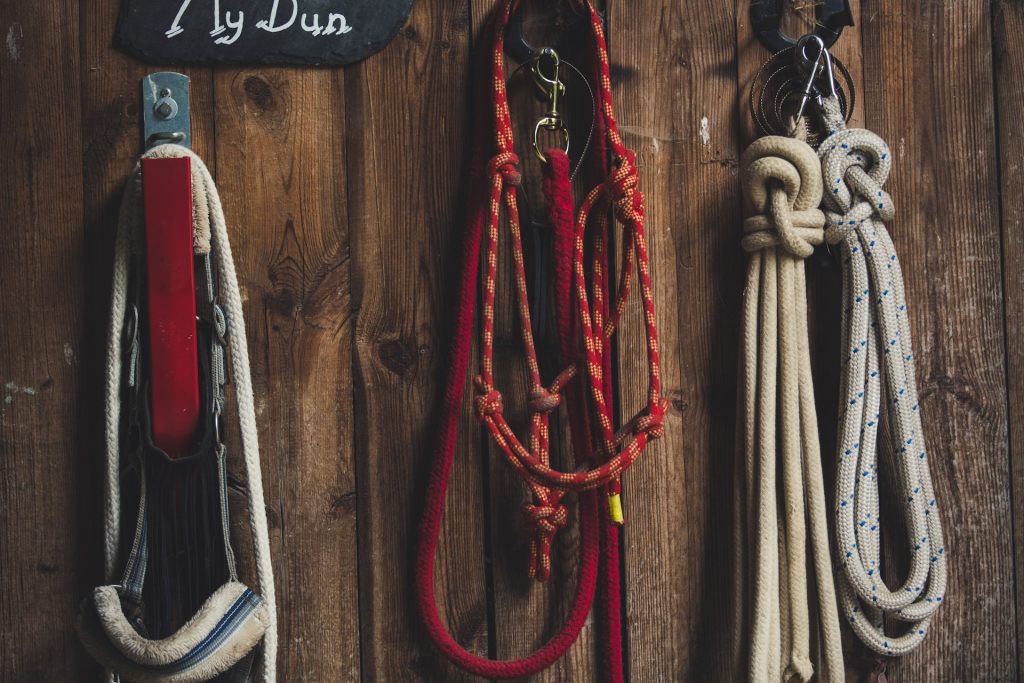 Horse lead rope and halter