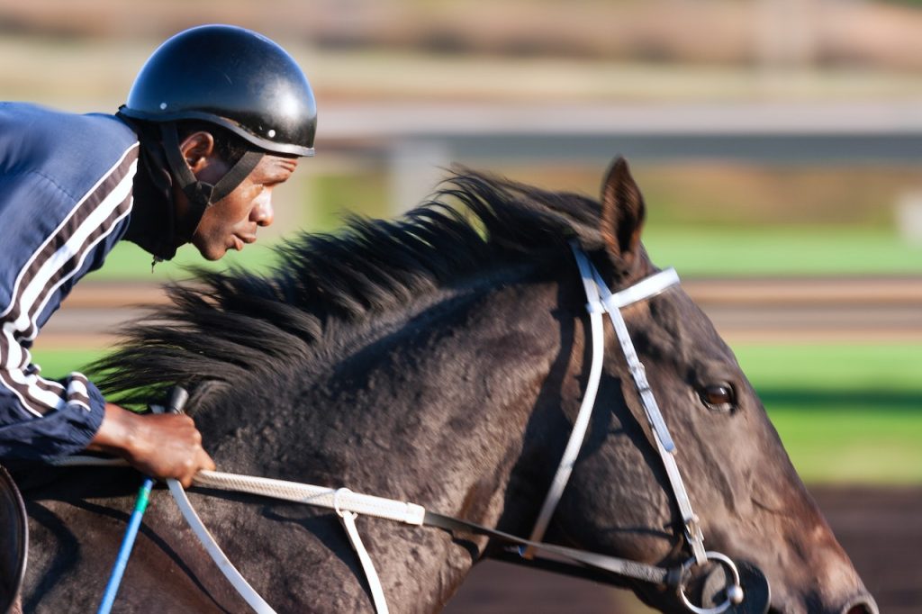 Horse racing