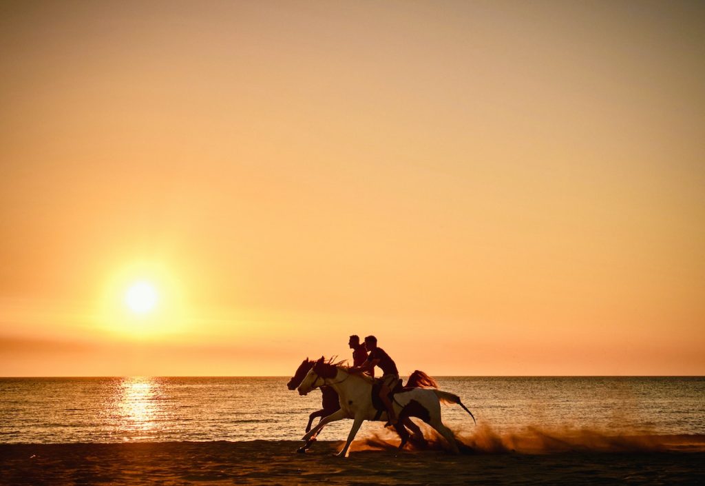 Sunset horse ride