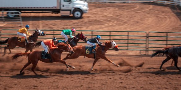 A guide to horse racing