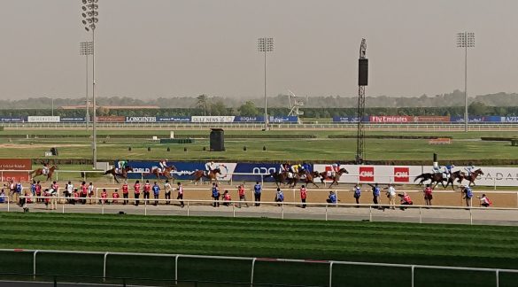 Horse Race in Dubai