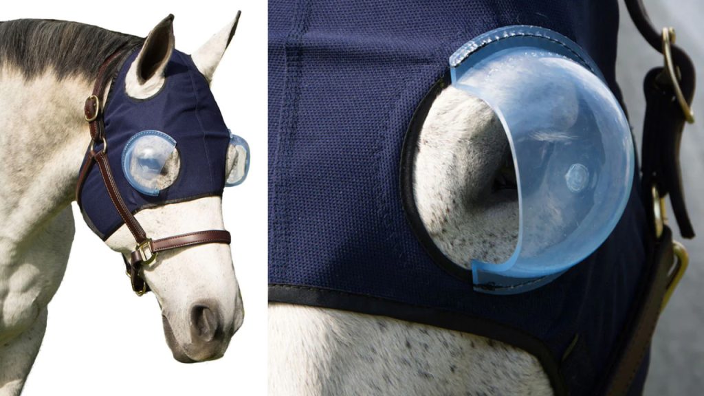 Horse medical hood_Intrepid