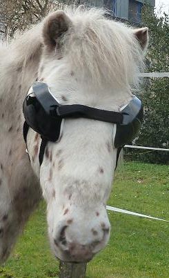 horse UV goggles