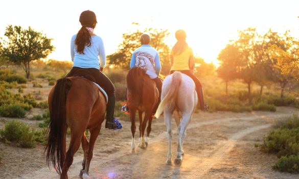 7-Ideas-for-an-equestrian-business