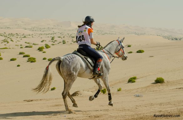 Endurance-racing-calendar-2023-24_Endurance-President-Cup-Abu-Dhabi-_-Ruud-Overes