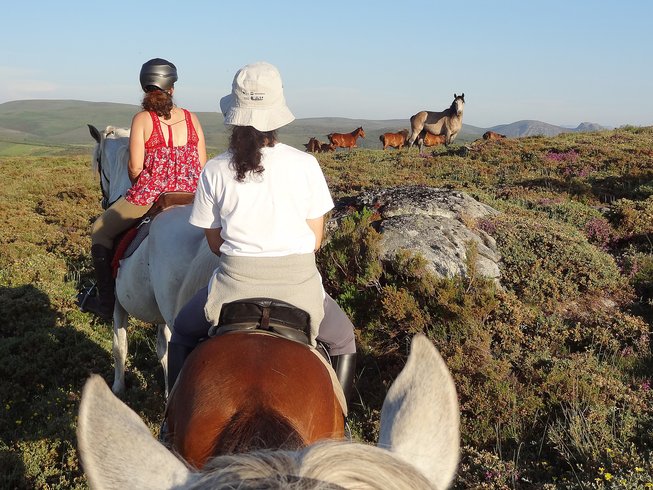 Horse riding holidays for beginners in Portugal