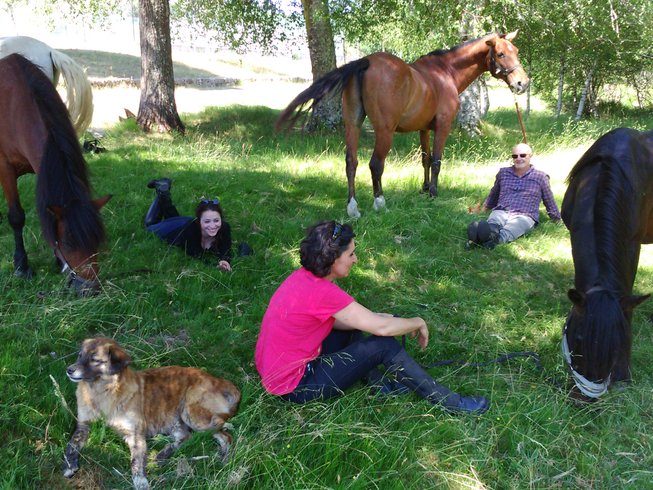 People sitting on the grass with horses