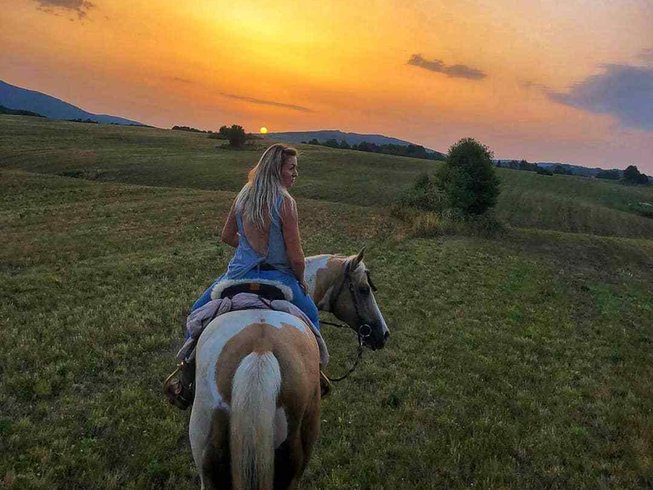 Lady riding a horse in a field at sunset