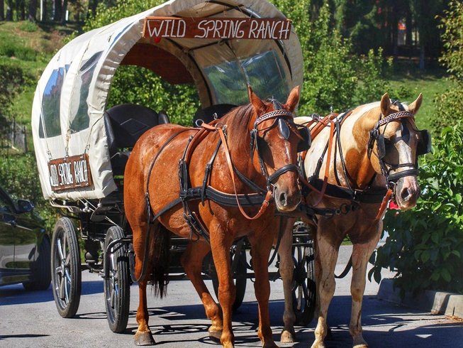 Horses carriage in Croatia
