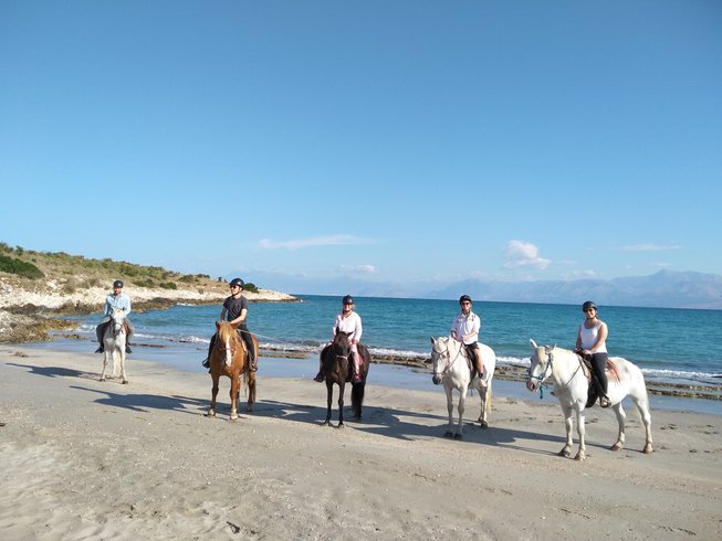 Group of people taking a photo on the horses on a beach