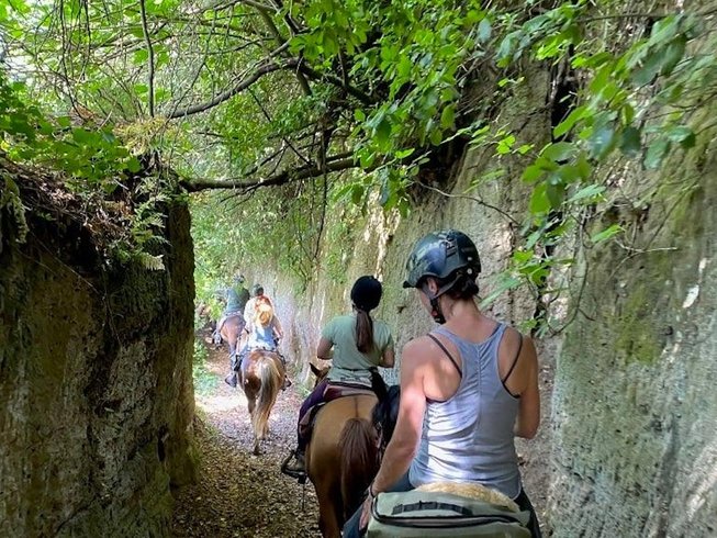 People riding horses on a trail