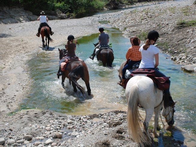 People riding horses in a stream