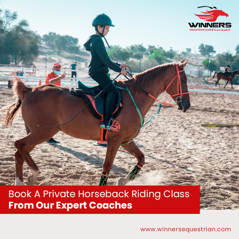 Horse riding classes Dubai