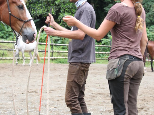 Horsemanship lesson