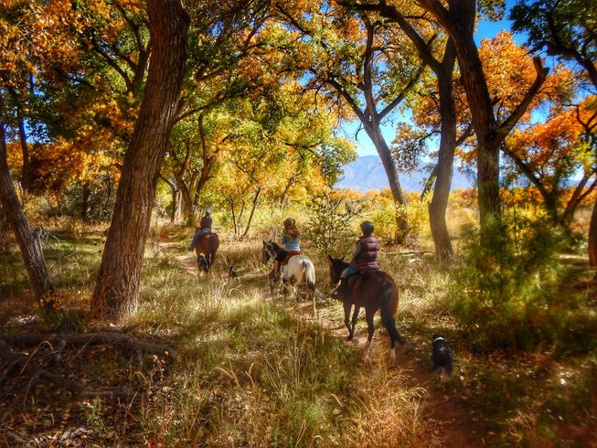 Ranch vacations in new mexico - people riding in the forest