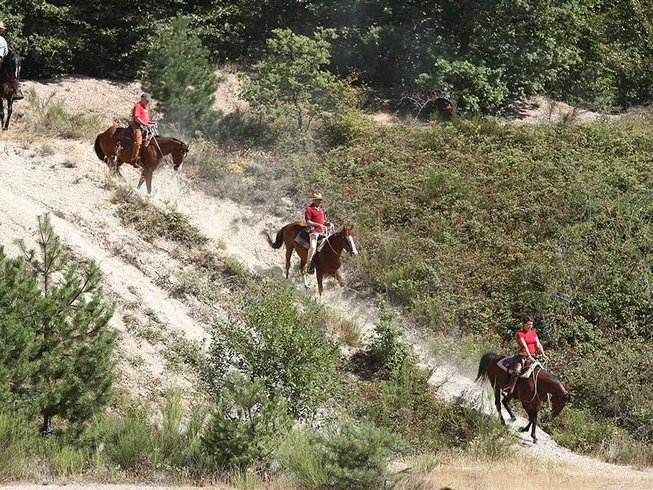 People riding horses going down a hill