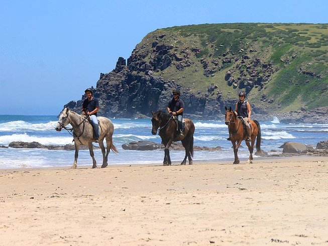 horse riders on the beach