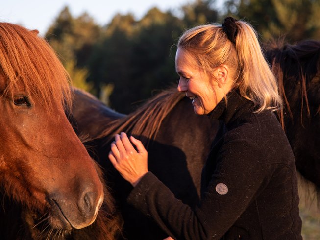 lady touching horses