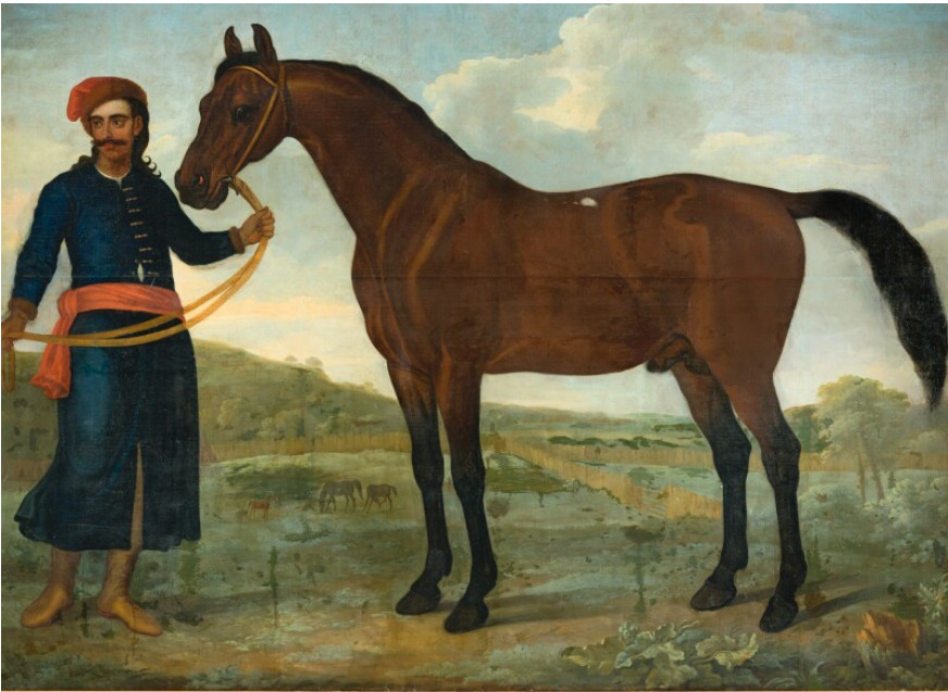 Arabian horse byerley turk. Painting by thomas spencer