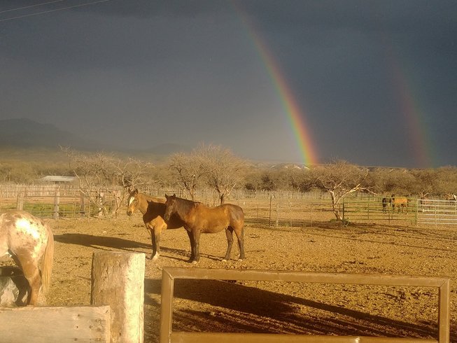 rainbow in the valley with horses - family ranch vacations in arizona
