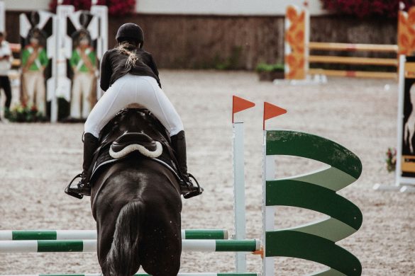 show jumping competitions in the UAE, season 2023-24