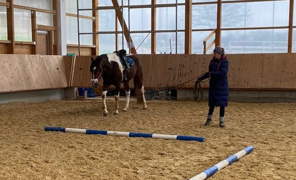 Horsemanship and lunging training with Susanne Grun