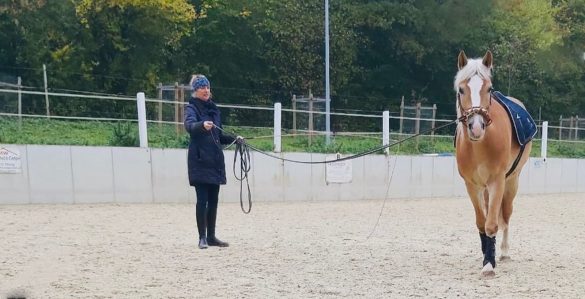 Horsemanship-with-Susanne-Grun