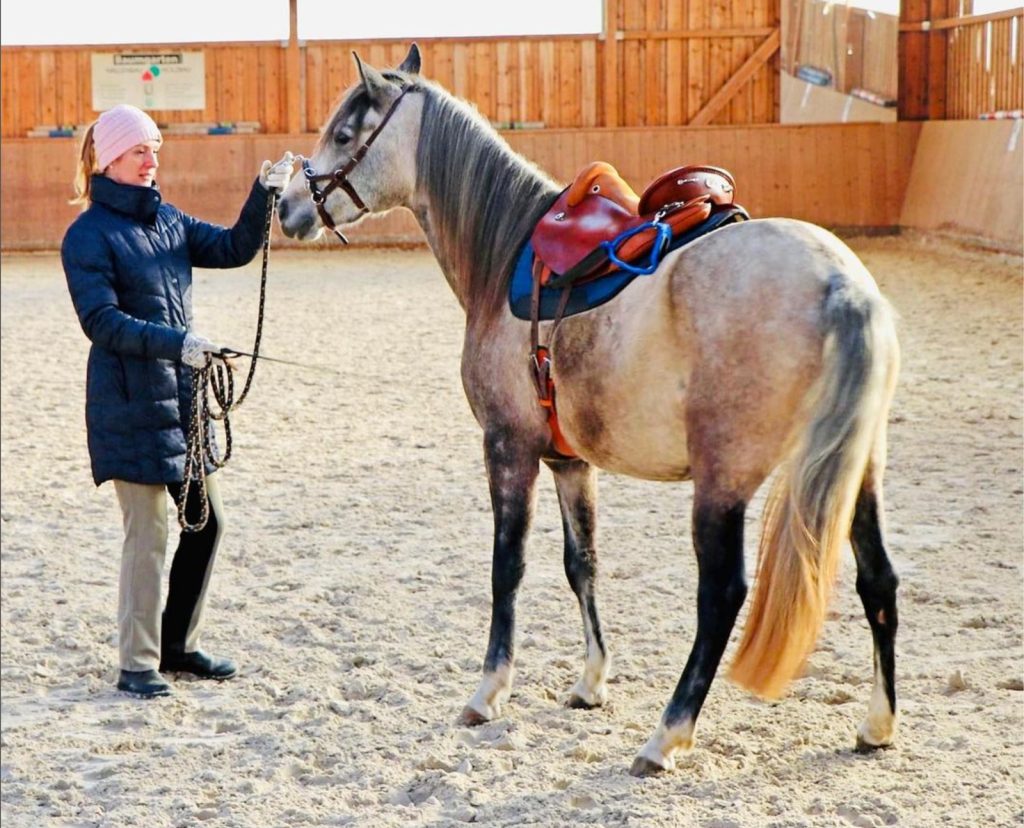 Moving the horse's hinds