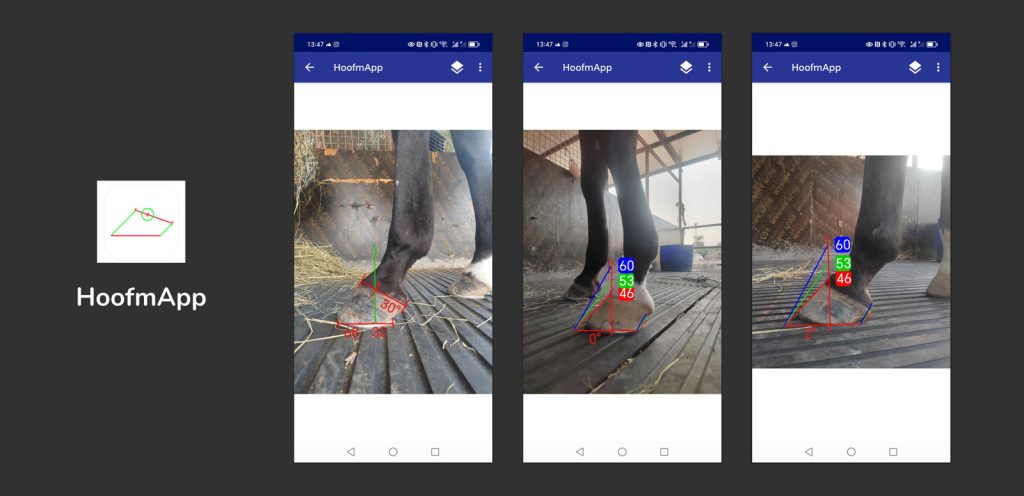 HoofmApp Equestrian App Hoof assessment